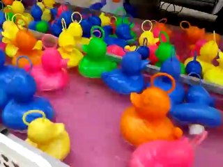 Les petits canards