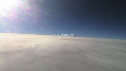 Diego Buongiorno - "The Bush" project - Music Album and Visuals [Backstage]