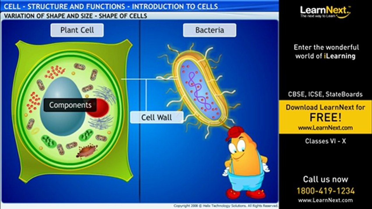 Class VIII Cell Structure and Functions - Introduction to Cell v01
