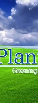 Townsville Lawn Specialists - Benefits of Irrigation