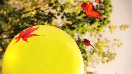 Alphabet Backwards - Taller