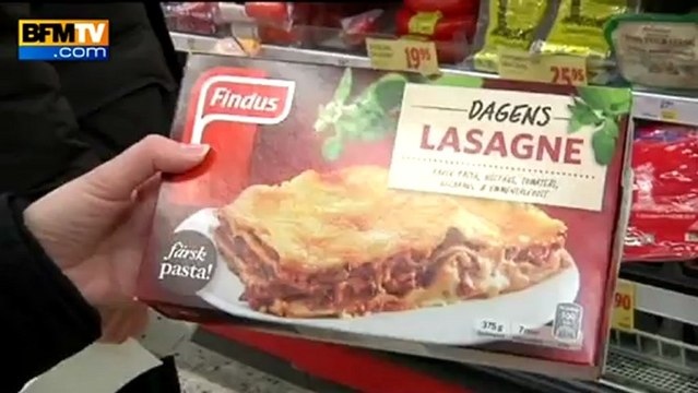 Scandale des lasagnes au cheval : existe-t-il une mafia de la viande ? -15/02