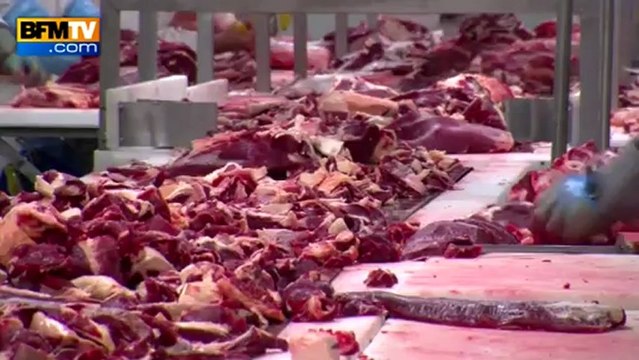 Lasagnes au cheval : Spanghero accusé de tromperie par le ministre Benoît Hamon