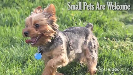 Shasta Terrace Apartments in Vacaville, CA - ForRent.com