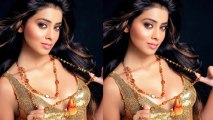Chamiya No. 1 Item Song Review - Zila Ghaziabad-Shriya Saran, Sanjay Dutt, Arshad Warsi [HD]