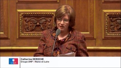 Catherine Deroche, Sénateur de Maine-et-Loire : Délégation des tâches en gynécologie