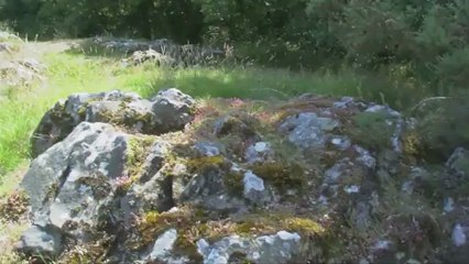 Plussulien , le bourg , Quelfenec , Chapelle Notre-Dame-de-Sélédin