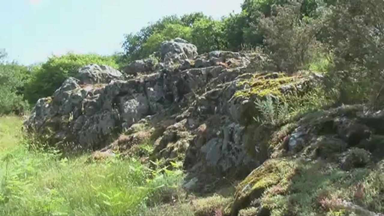 Site néolithique de Quelfenec - Plussulien