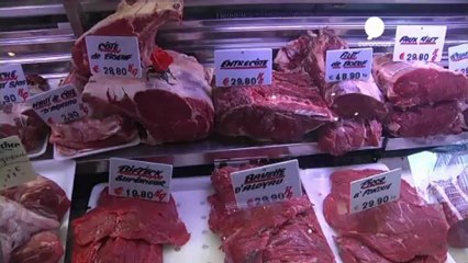 EU insists horsemeat scandal is not a public health issue