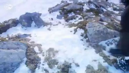 رحلة الى أندورا: | يوروماكس