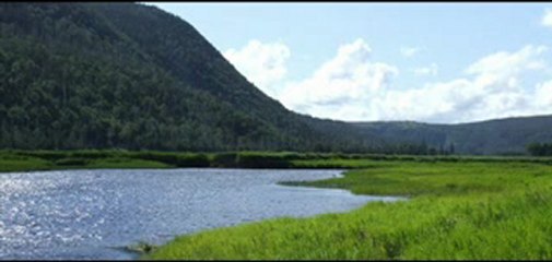 Labrador Rose- Dick Gardiner (Cover) by Mike Wayson