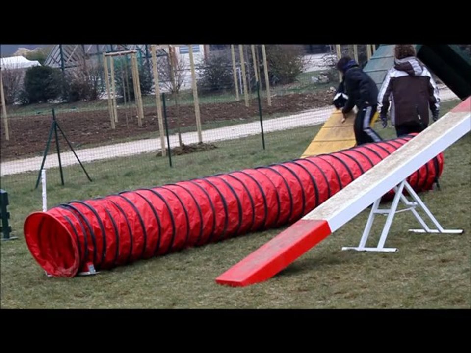 agi Shad 02-13