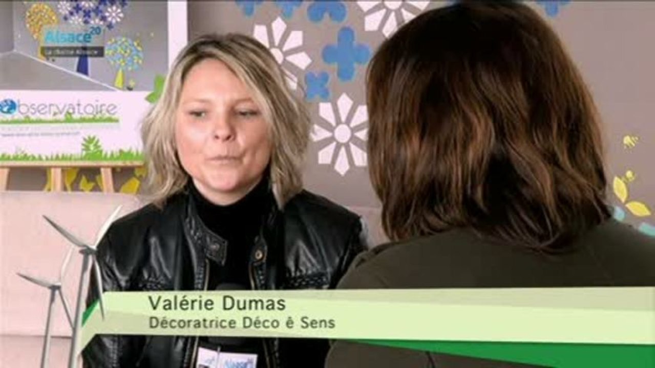 Hebdo DD : Le développement durable en Alsace (14/02/13)
