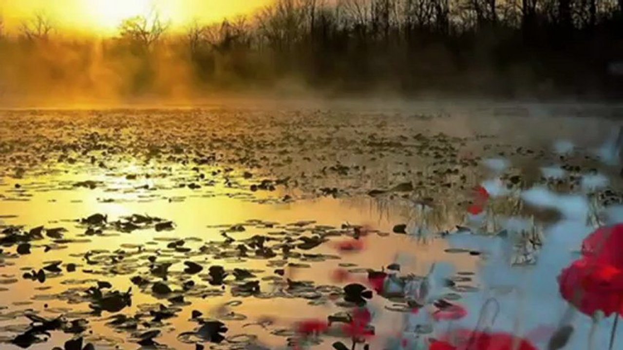 OĞUZ AKSAÇ-CEYLAN GÖZLERİNE KURBAN OLDUĞUM