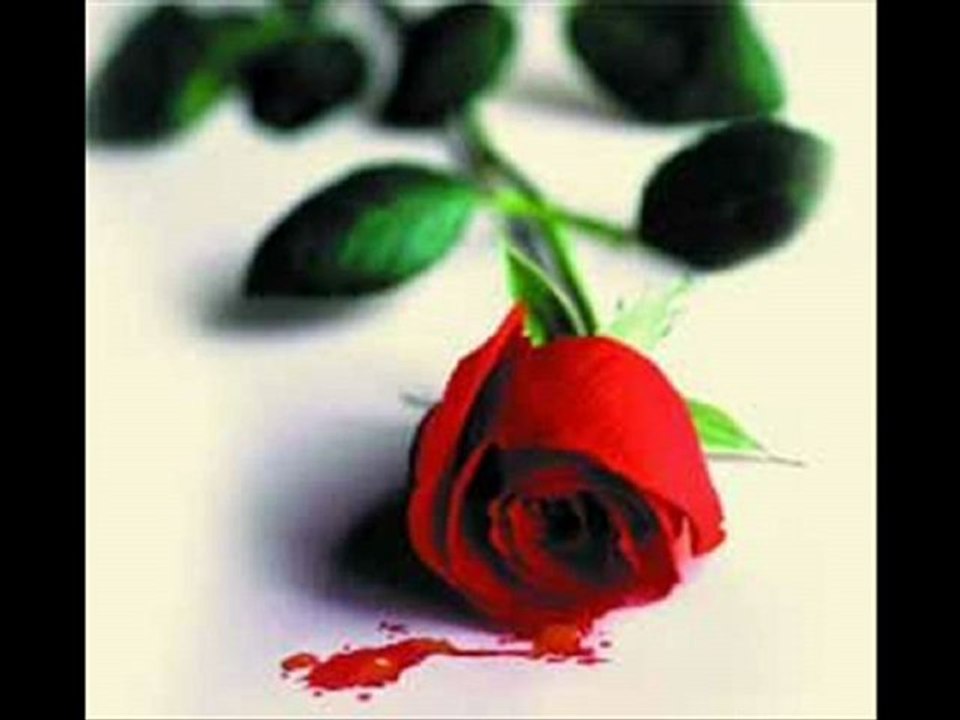 Ferhat Tunc     -  Bugunum degil yarinimsin sen