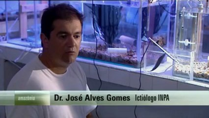 Amazonia, última llamada (11) Guardianes del Futuro