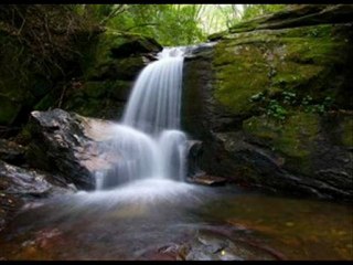 Espanol Seguros de Vida Miami