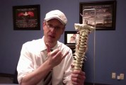 Walnut Creek Chiropractor | (925) 482-0195 | What Is Chiropractic?