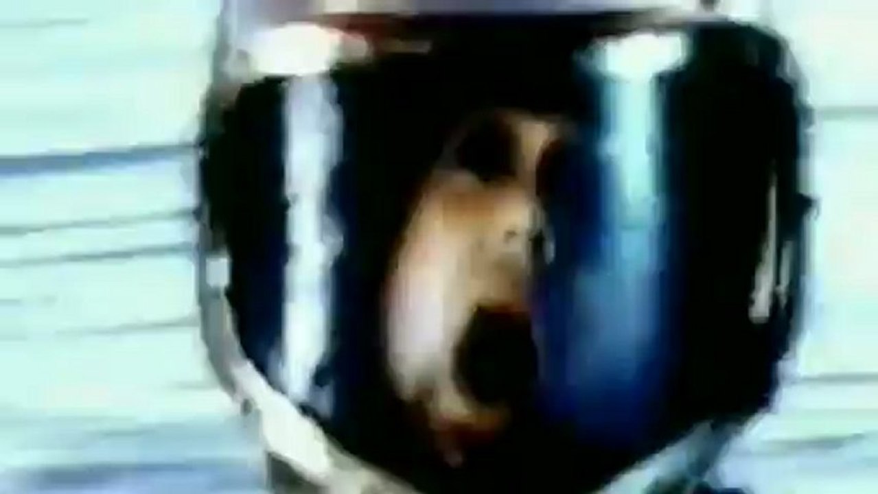 Deftones - My Own Summer (Shove It)