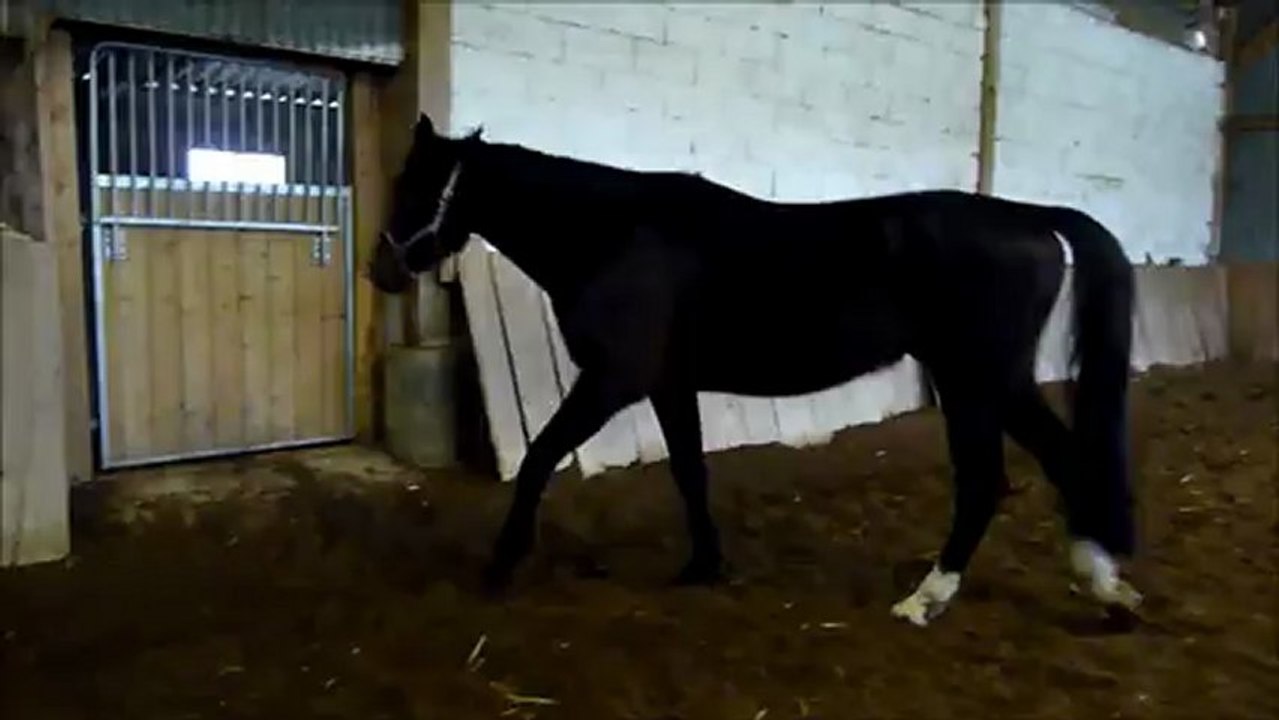 Cuba liberté petit saut