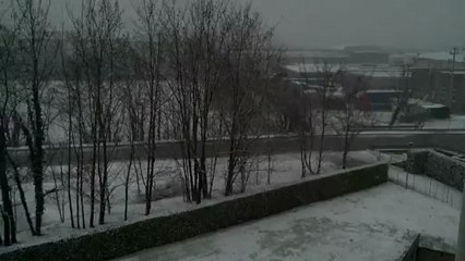 Nevicata del 11/02/2013 ore 11,50