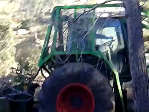 Broyage de broussailles par Alpine des Bois environnement à Saint Etienne du grès (2)