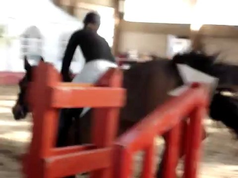 concours Gaillon du 17/02/2013 (1)