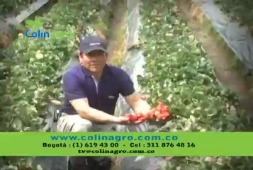 22 FEBRERO 2013 hacienda el palomar web