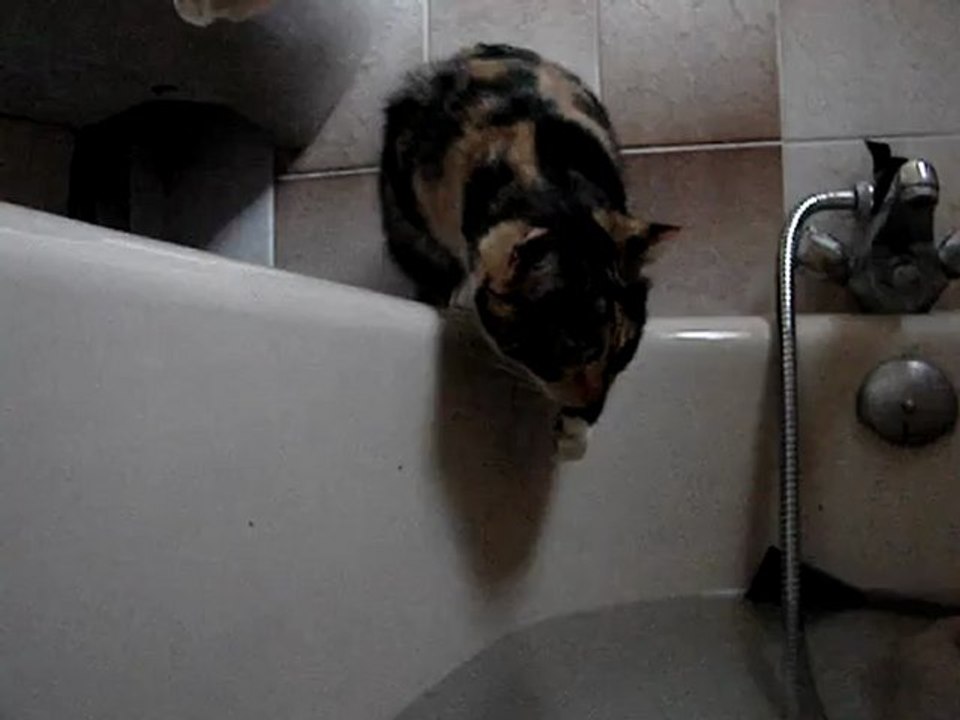 Hamande et l'eau