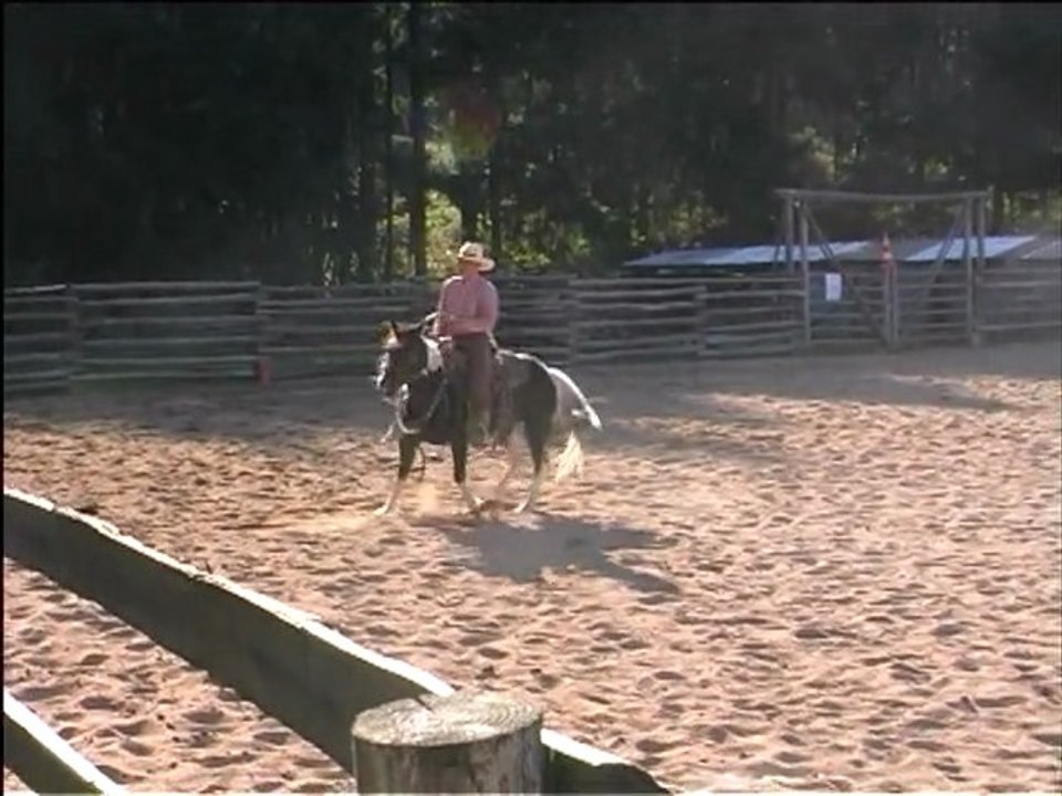 Cheval de Ranch 4°Dry Work