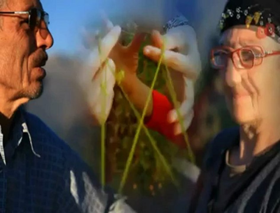 Salih yılmaz--yaylanın çimenine.