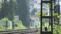 Züge Leubsdorf-Bad Hönningen, WLB 182, SNCF Prima, NIAG 145, 2x 189, 151, 3x 185, 143, 4x 425
