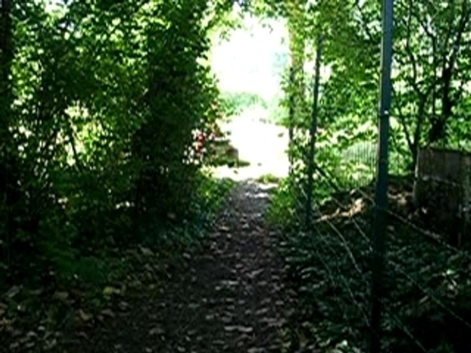 Le chemin