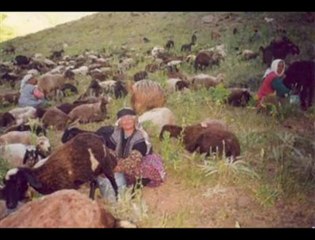 ABİDİN BİTER--BİR DEYİL YARAM