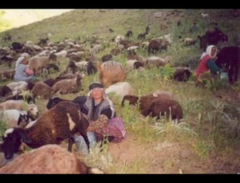 ABİDİN BİTER BİR DEYİL YARAM