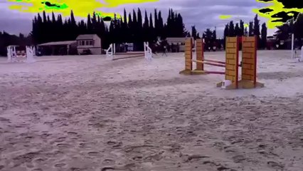 concour assas laurene et java