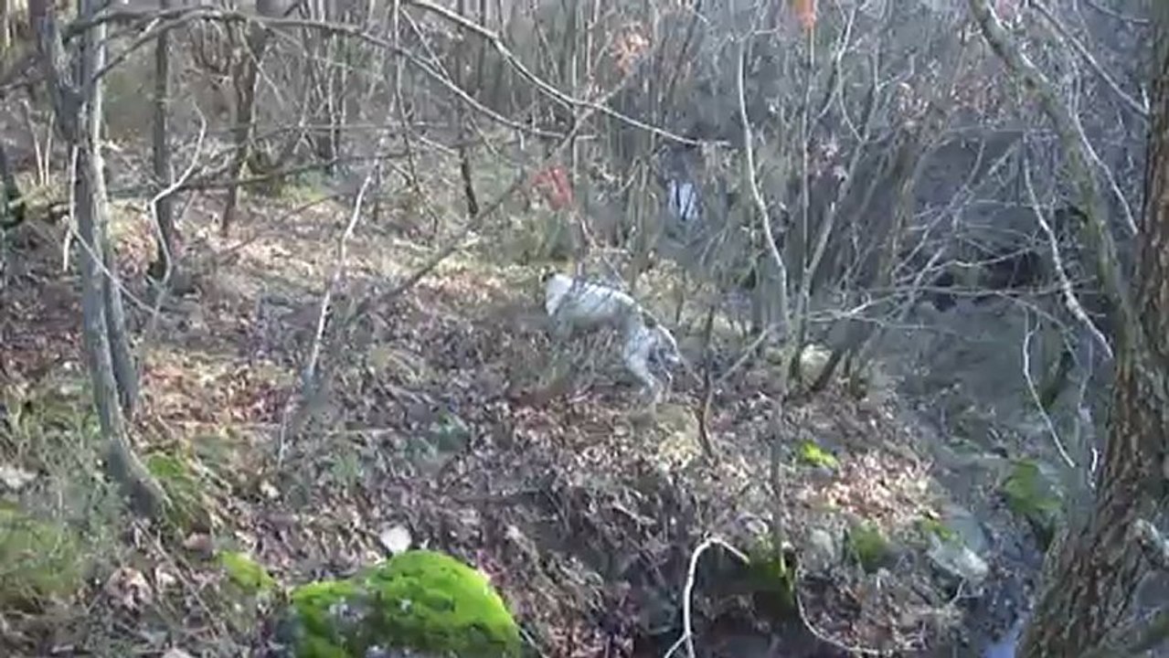 edincikli eski avcı raşit burma misafirimdi