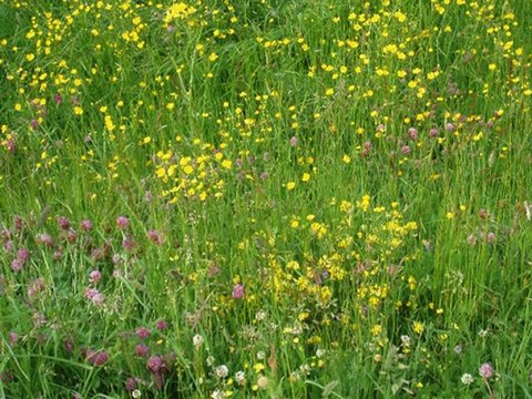 8°JOUR D'Agde à Brigneau en vélo du 3 au 18 juin 2009. Trois mois après avoir pris ma retraite je traversais toute la France à vélo, en solitaire... 8° JOURS