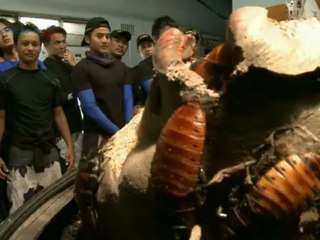 Fear Factor Selebriti Malaysia 2012 Episode 8