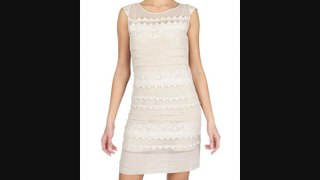 Deby Debo  Lace Stretch Dress Fashion Trends 2013 From Fashionjug.com