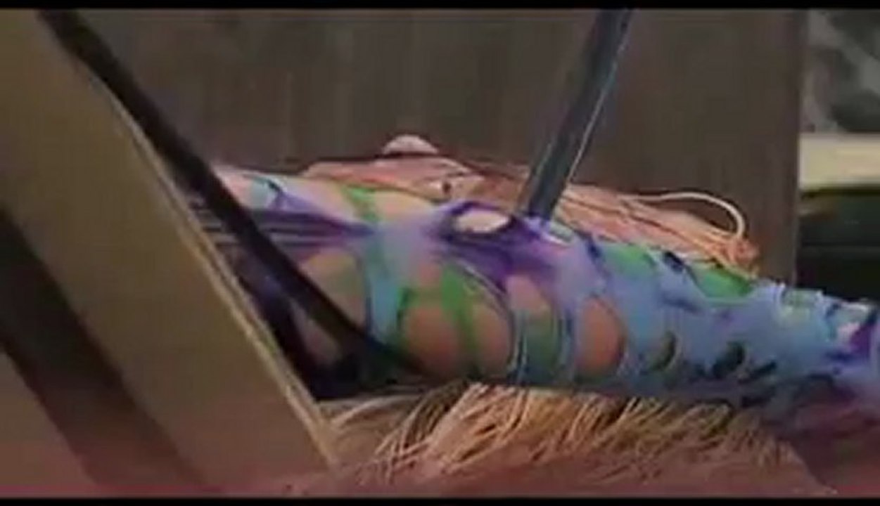 Lockdown 2005_ Jeff Hardy vs. Raven