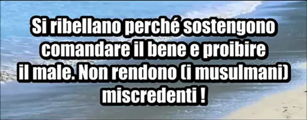 Quale Differenza tra il rivoluzionari(ribelli) e il Khawarij, Sheikh Fawzan IT