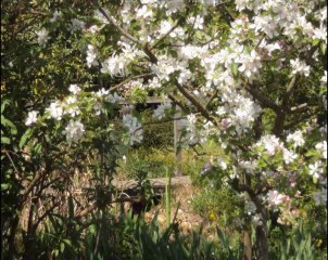 la vie dans nos campagnes