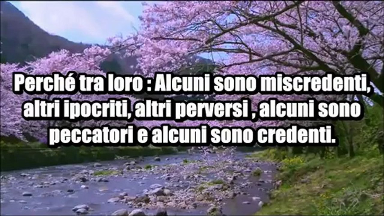 Guidicare le persone! Consiglio di Sheikh Fawzan