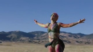 Pink - Try (Official Music Video)