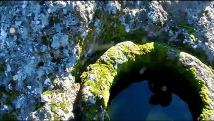 Haş Dağı'ndan Çevreye Bakış