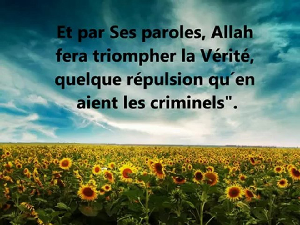 Belle récitation du Coran, Sourate Jonas, v. 74 82, Utaybi