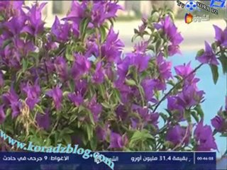 حوار جمال بلماضي مع قناة الشروق