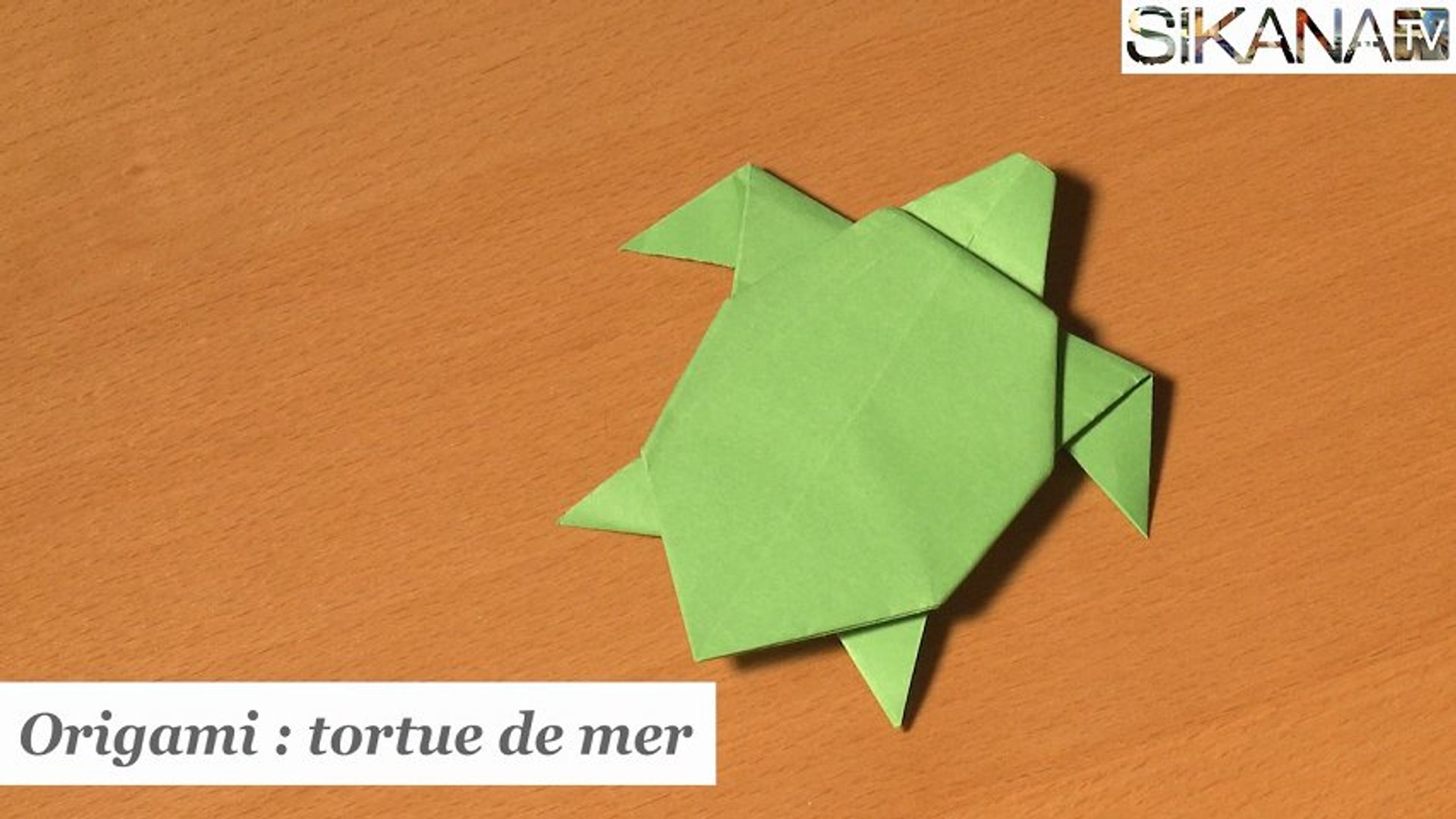Origami : Tortue de mer - HD - Vidéo Dailymotion
