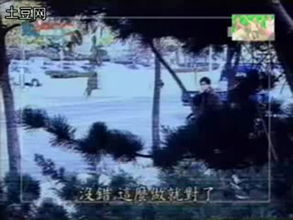 被拍又被拍